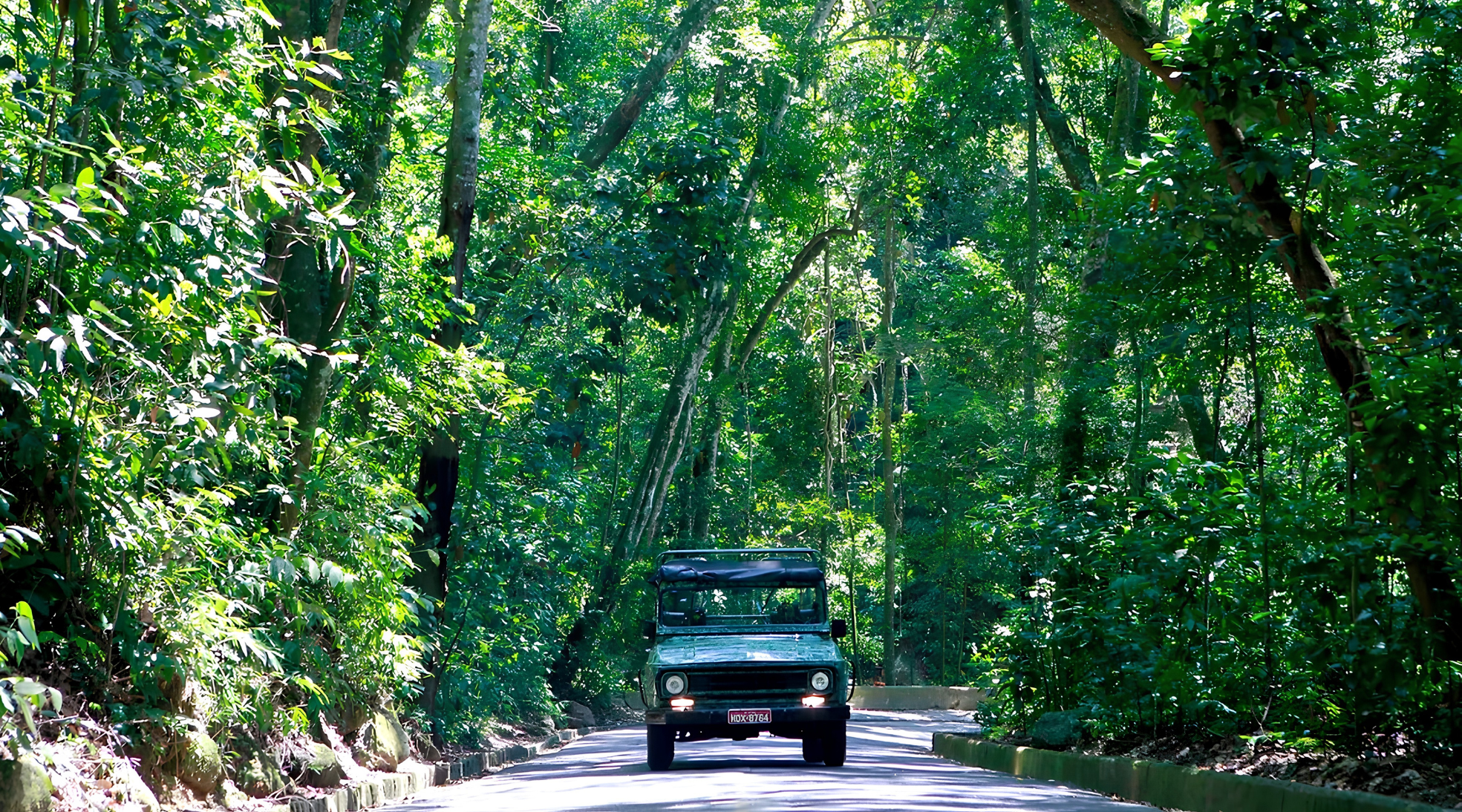 FLORESTA DA TIJUCA COM SANTA TERESA BY JEEP